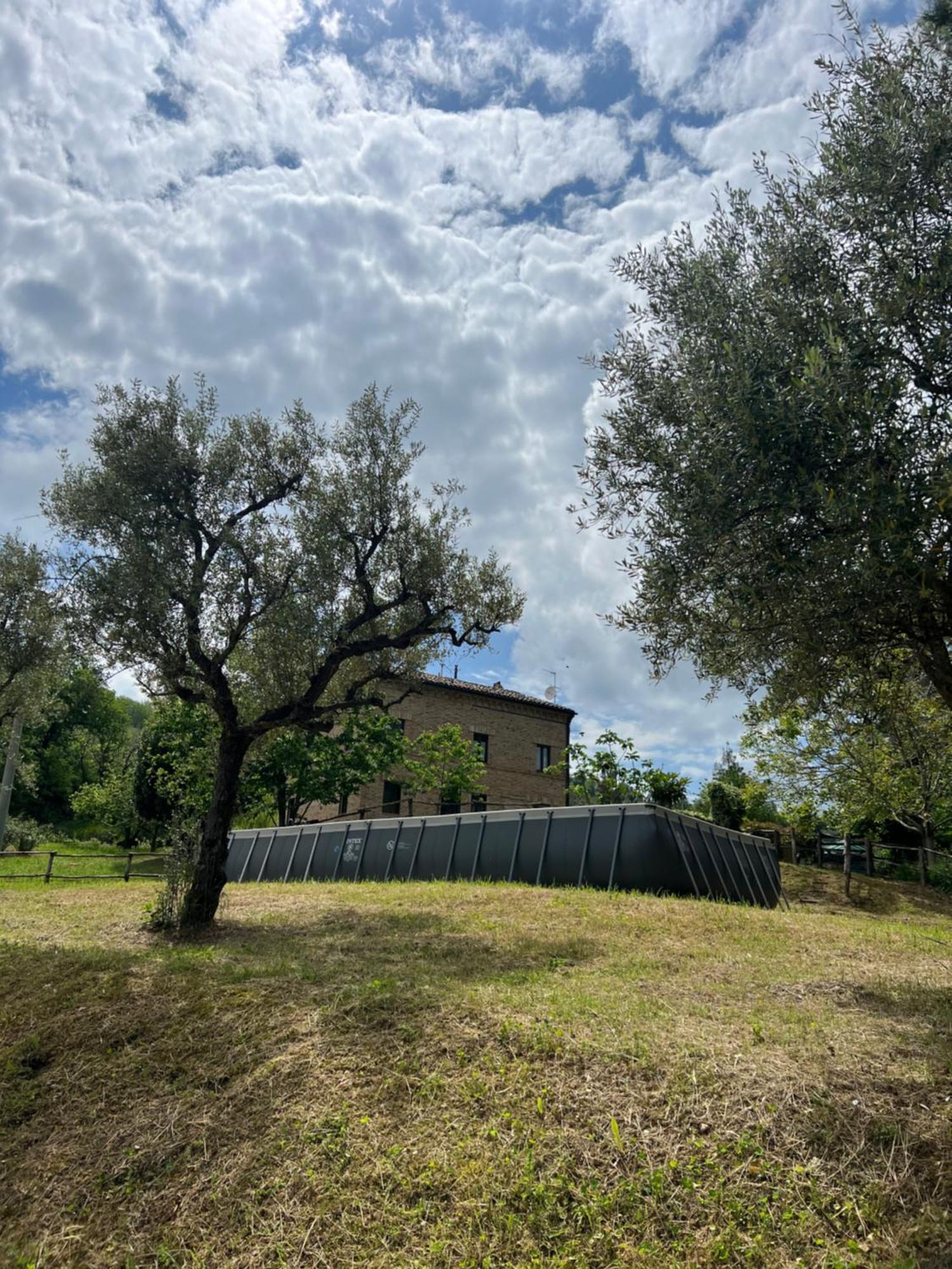 Tenuta Gran Bosco Loro Piceno Екстер'єр фото