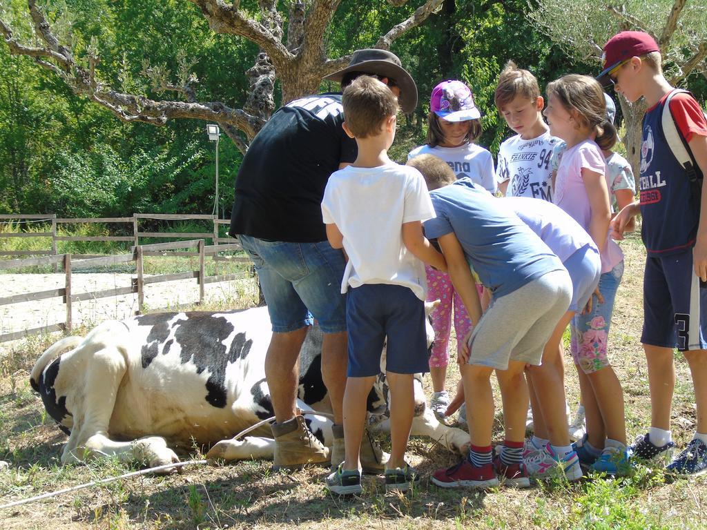 Tenuta Gran Bosco Loro Piceno Екстер'єр фото
