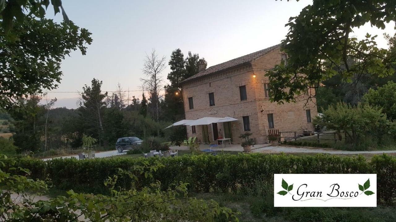 Tenuta Gran Bosco Loro Piceno Екстер'єр фото