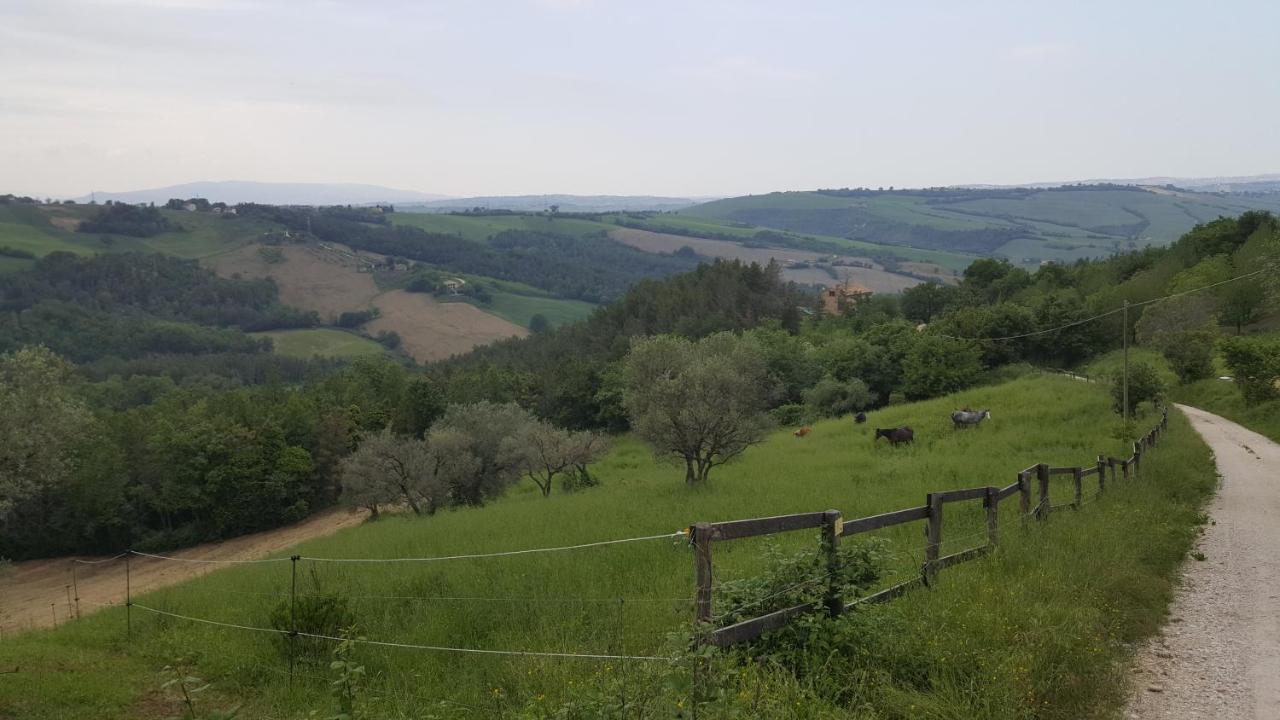 Tenuta Gran Bosco Loro Piceno Екстер'єр фото