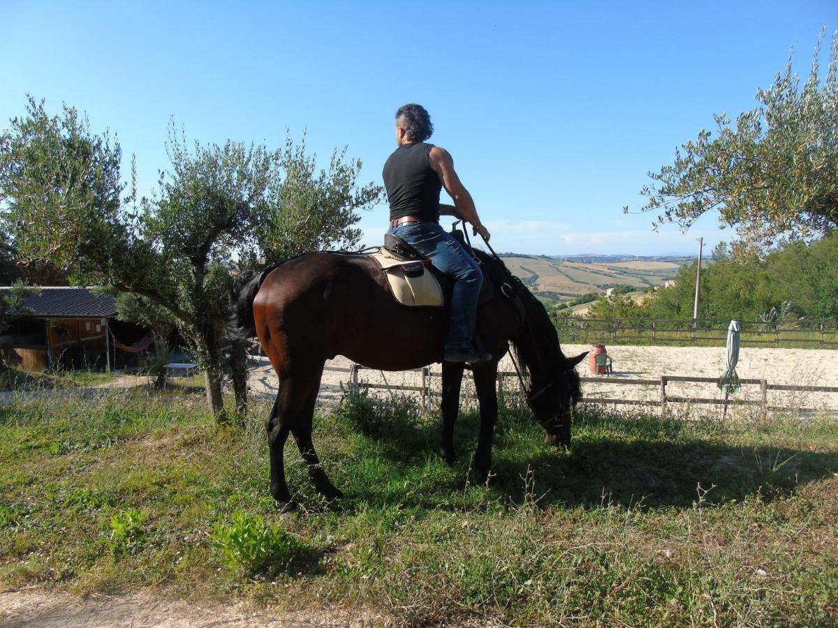 Tenuta Gran Bosco Loro Piceno Екстер'єр фото